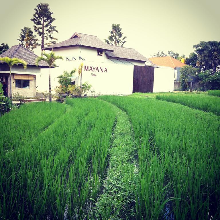 Mayana Villas Canggu Eksteriør billede